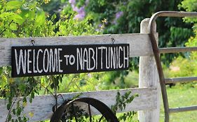 Nabitunich